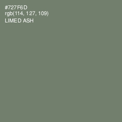 #727F6D - Limed Ash Color Image